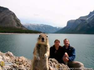 Rocky the Squirrel in Banff