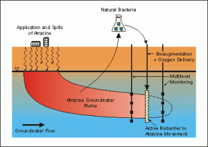 Atrazine in groundwater